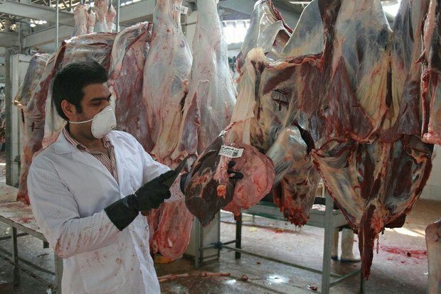 صدور ۷۱ فقره مجوز بهداشتی صادراتی از خوزستان برای مواکب اربعین در کشور عراق