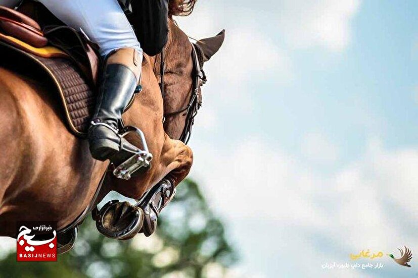 مدیرکل ورزش و جوانان خوزستان: هیات سوارکاری استان جزو هیات‌های پرکار و منظم است