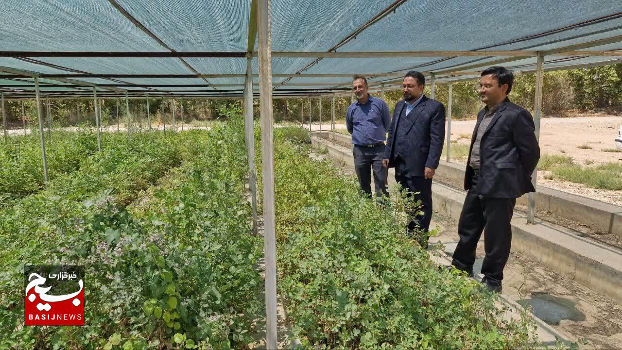 بازدید دادستان شاهرود از نهالستان؛ گامی در جهت تحقق طرح کاشت یک میلیارد درخت