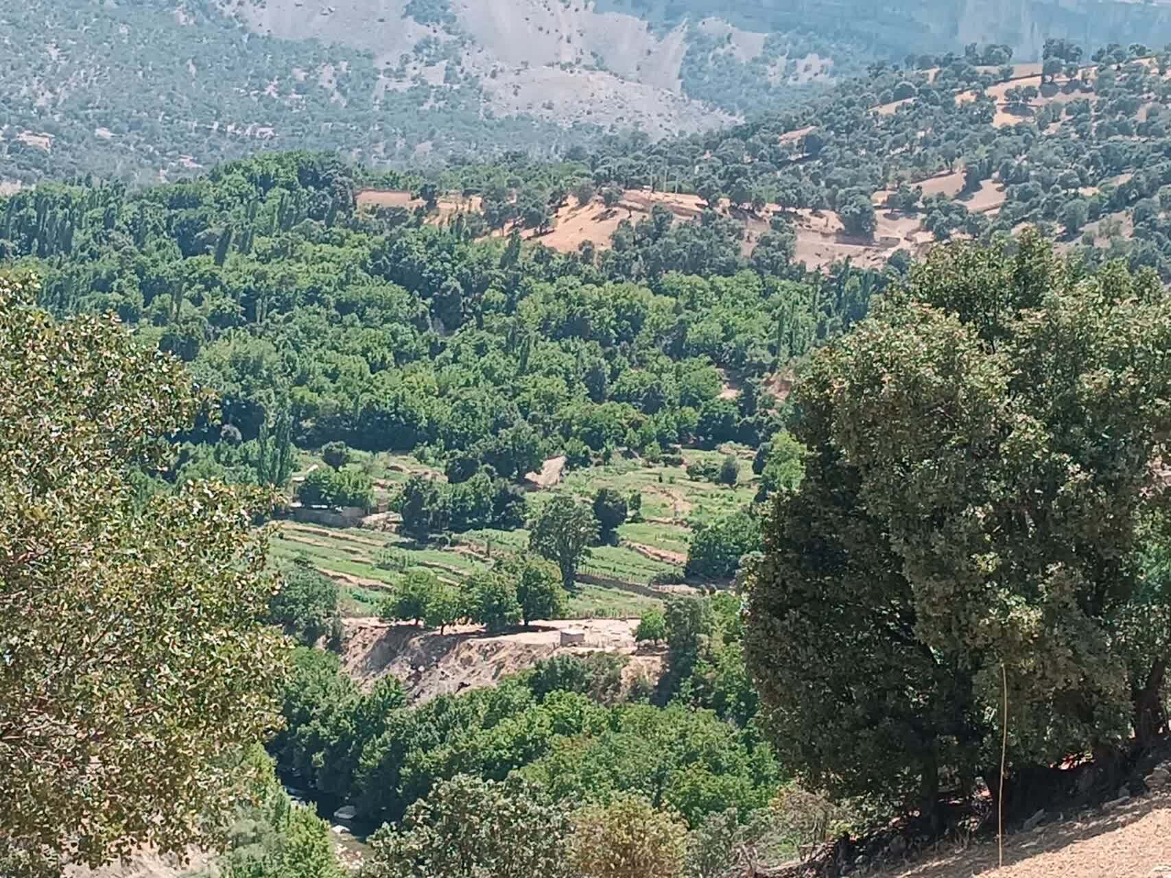 بسیج کشاورزی بویراحمد در کنار باغداران و کشاورزان روستای پراشکفت