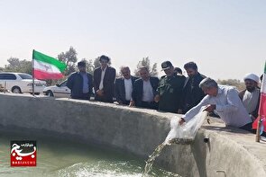 جهش اشتغال روستایی زهک با پرورش ماهی