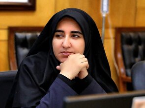 فلاحی: امنیت و انسجام ملی اولویت نخست کشور است