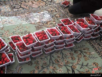  اردوی جهادی یک روزه حلقه صالحین شهید خانعلی شهبازی در بلداجی برگزار شد.