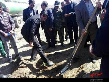 کشت گل محمدی در سفیددشت