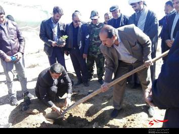 کشت گل محمدی در سفیددشت