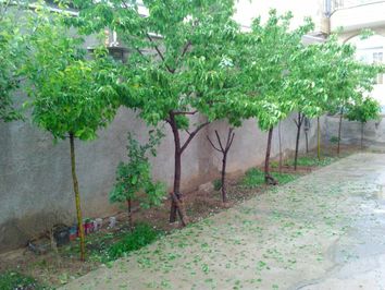 بارش تگرگ در شهرستان اردل