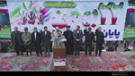 راهپیمایی غرور آفرین ۲۲ بهمن ماه در شهرستان پارس آباد
