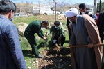 غرس نهال در شهرستان کوهرنگ