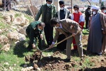 غرس نهال در شهرستان کوهرنگ