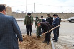 غرس نهال در شهرستان کوهرنگ