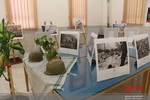 برپایی نمایشگاه عکس دفاع مقدس در شلمزار