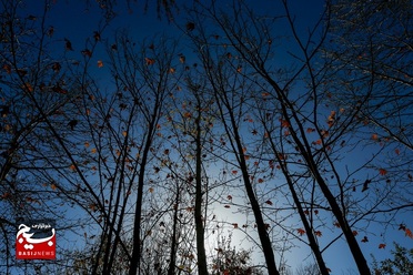 طبیعت پاییزی روستایی در قم

عکس از سیدمحمدمهدی قدس‌علوی