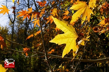 طبیعت پاییزی روستایی در قم

عکس از سیدمحمدمهدی قدس‌علوی