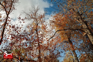 طبیعت پاییزی روستایی در قم

عکس از سیدمحمدمهدی قدس‌علوی