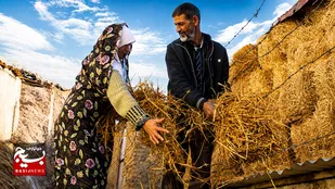 توانمندسازی روستاییان اردبیل با ۱۳۰۰ فقره تسهیلات قرض&zwnj;الحسنه
