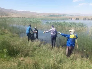 پاکسازی حاشیه تالاب گندمان با همت جهادگران بسیجی