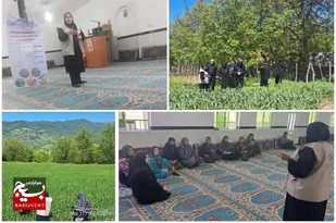 از مزرعه تا اشتغال؛ آموزش گیاهان دارویی در روستای کارنام برگزار شد