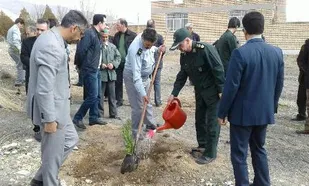 غرس 4200 نهال در اراضی طبیعی گلپایگان