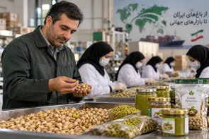 ایجاد ۱۷۰ فرصت شغلی با تکمیل زنجیره ارزش پسته