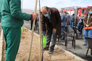 کاشت نهال با حضور هنرمندان و اصحاب رسانه در شاهرود+ تصاویر