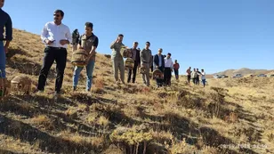 ۸۵ قطعه کبک وحشی در سقز به طبیعت بازگشتند