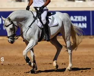 مشکل زمین، تنها مانع احداث پیست سوارکاری شوش است
