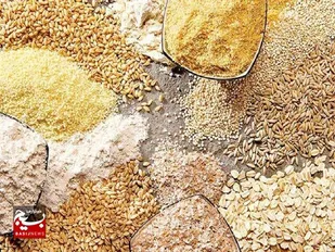 آغاز پرداخت اعتبار ویژه خرید نهاده دام و طیور در خوزستان