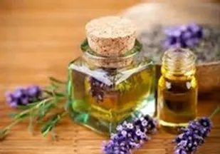 مافیای وارد کنندگان دارو مخالف گسترش طب سنتی هستند