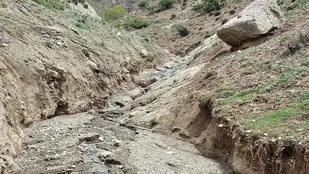 تیغ کشی و بازگشایی مسیر کوچ عشایر انجام می&zwnj;شود