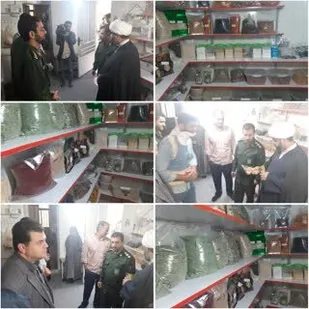 راه اندازی کارگاه تولید میوه خشک در روستای شوران در راستای اقتصاد مقاومتی