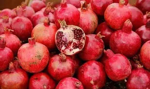 پیش&zwnj;بینی برداشت بیش از ۳۰ هزار تن انار در بردسکن