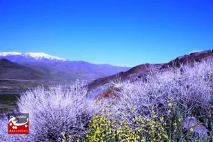 منطقه گردشگری تنگ غرقاب