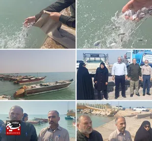 رهاسازی ۴۰ هزار بچه ماهی در ساحل خلیج فارس اسکله بحرکان هندیجان