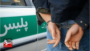 دستگيری سارقان منزل در اردبيل