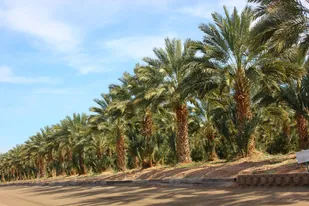 گام تازه برای هویت&zwnj;بخشی به محصولات کشاورزی