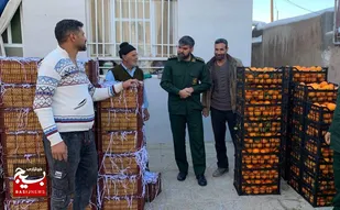 بسیجیان بوژگانی، یلدای محرومان را به مهر و همدلی آراستند
