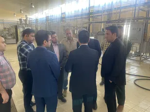 بازديد ميداني اعضاء كارگروه تسهيل استان خراسان جنوبي از واحدهاي صنعتي