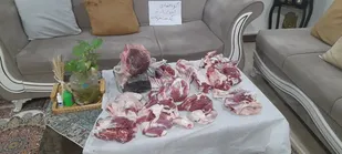 توزیع گوشت قربانی بین نیازمندان آغاجاری