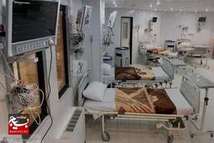 جهادگران فاطمی از بیمار محله دستگیری کردند