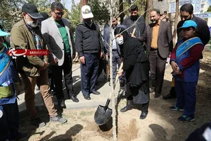 شهروندان منطقه 10 درخت کاشتند/ توزیع نهال مثمر در بوستان های منطقه