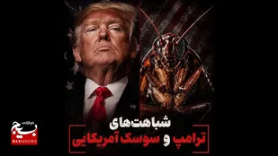 سوسکِ خبیثِ کاخ سفید؛ نماد عریانِ استکبار و نجاستِ اخلاقی