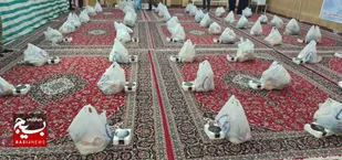 ۸۰ بسته یلدایی بین نیازمندان گرمساری توزیع شد