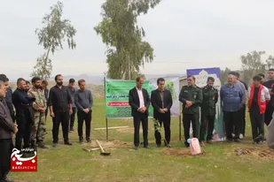 کاشت ۵۲۰۰ اصله نهال در شهرستان مسجدسلیمان
