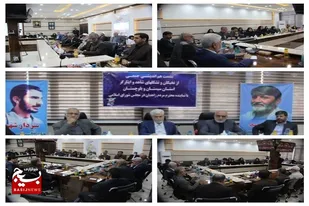 نشست هم اندیشی تشکل های شاهد و ایثارگر در زاهدان برگزار شد