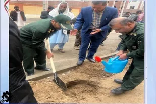 کاشت دو هزار راس نهال و درخت در سیستان و بلوچستان