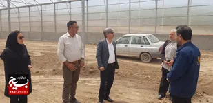 احداث دوازدهمین گلخانه شهرستان نیر آغاز شد