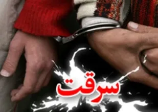دستگیری ۲ سارق و کشف ۴ فقره سرقت در رزن