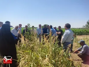 برگزاری دوره آموزشی روش های اجرای سامانه های نوین آبیاری روستای پیریوسفیان