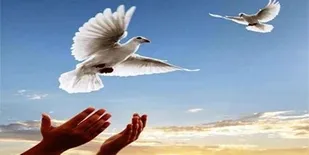 آزادی سه زندانی جرائم غیر عمد در شاهرود