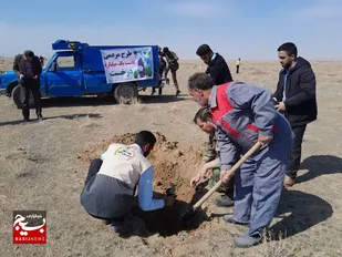 کاشت ۳ هزار نهال بیابانی به همت بسیجیان جغتای+تصاویر